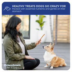 Downtown Pet Supply single-ingredient beef sticks free from artificial flavors