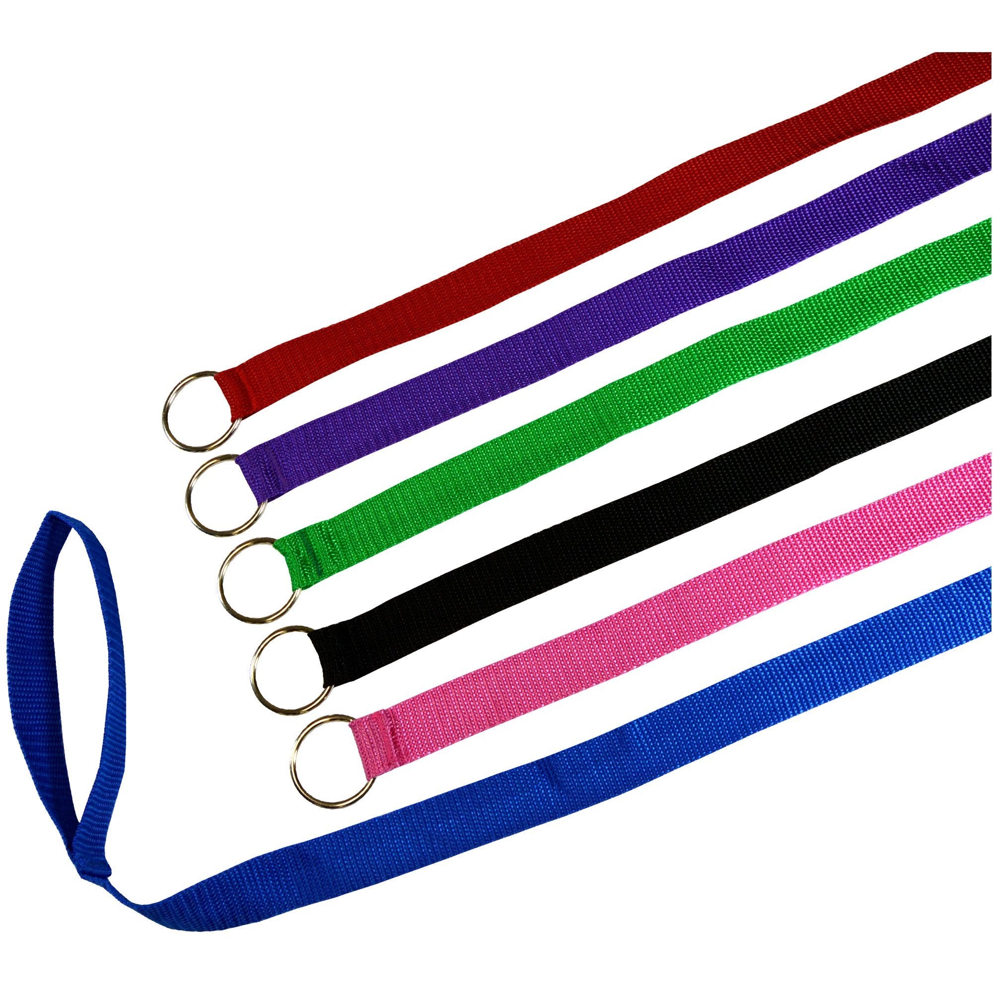 Downtown Pet Supply slip lead 6ft in kennel use for secure handling during cage transitions.