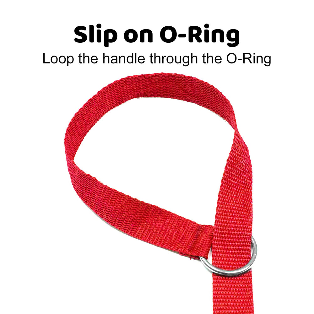 Downtown Pet Supply slip lead at a grooming station ensuring hands-free handling.