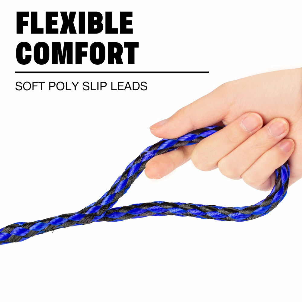 Downtown Pet Supply slip lead in grooming station for secure handling.