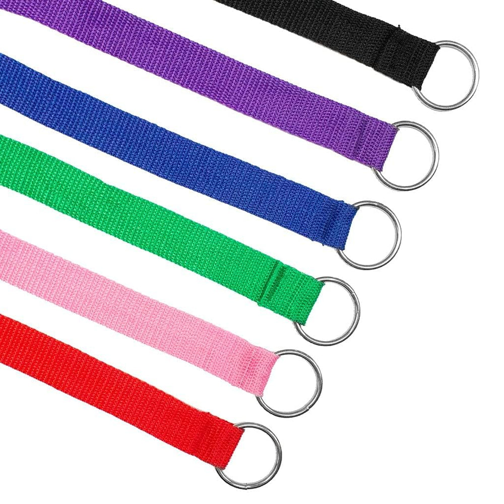 Downtown Pet Supply one-size-fits-all slip lead suitable for dogs of all sizes