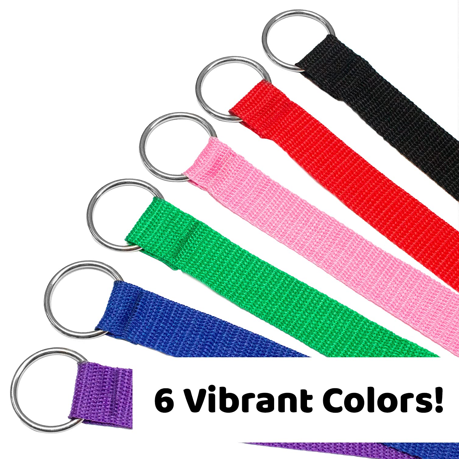 Downtown Pet Supply slip lead with O-ring attachment simplifies quick access.