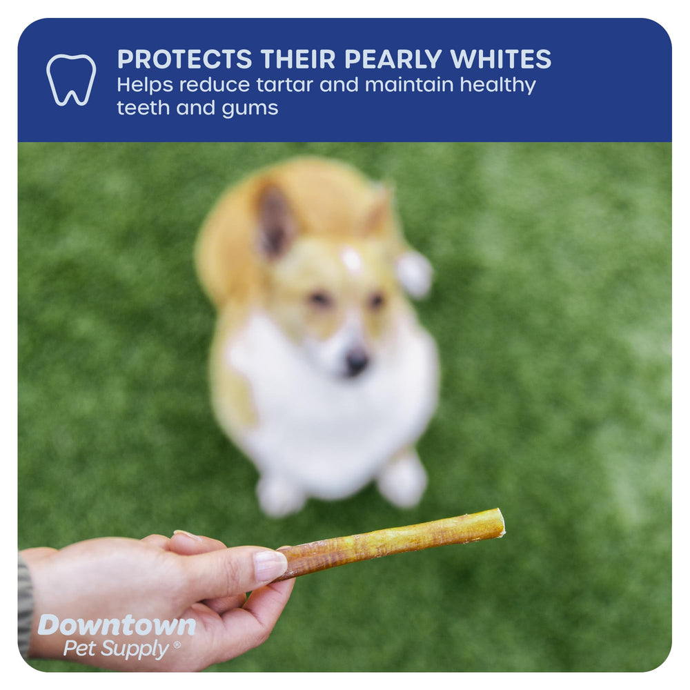 Downtown Pet Supply small-dog chew beef sticks for training