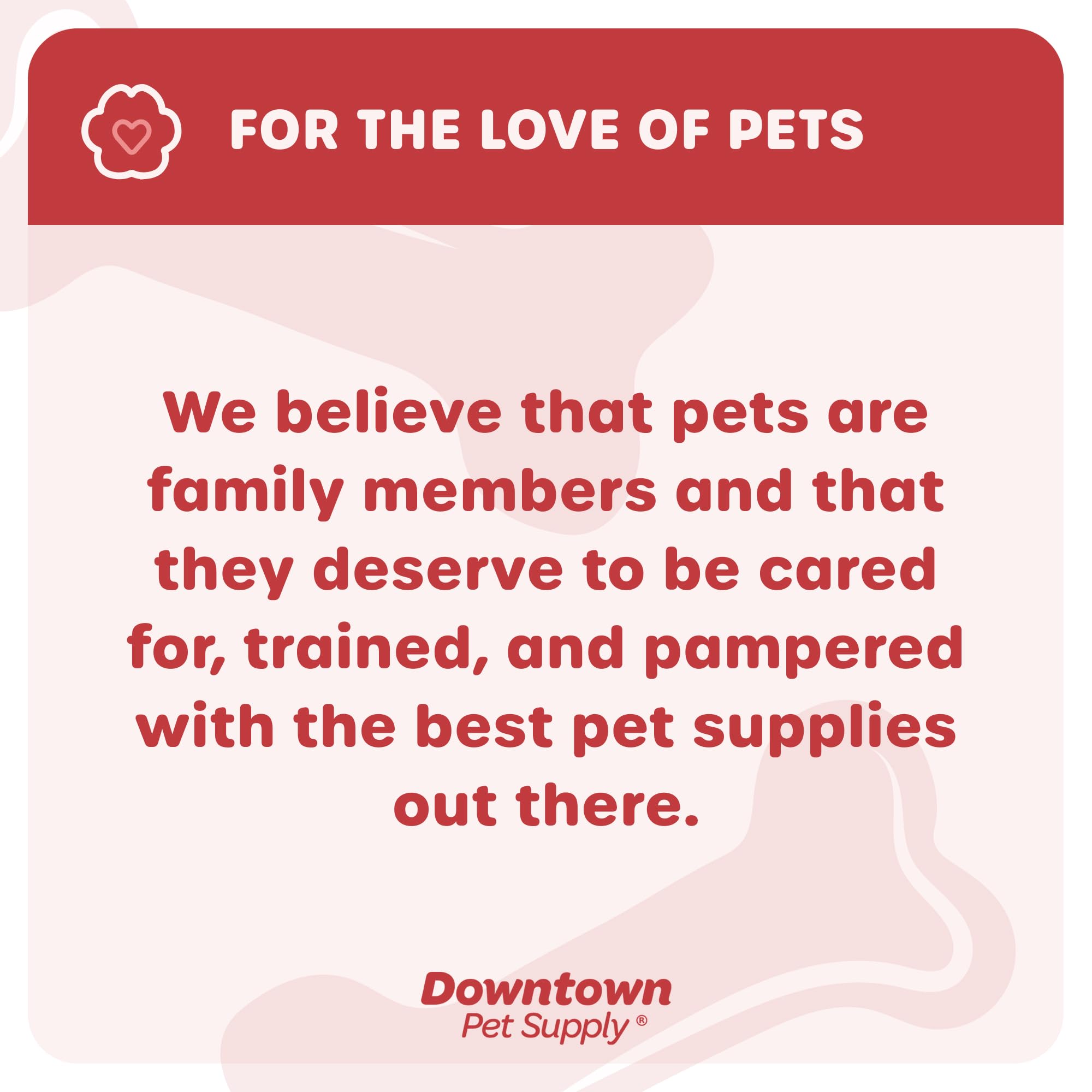Downtown Pet Supply step-in harness reflects safety during low-light outings.