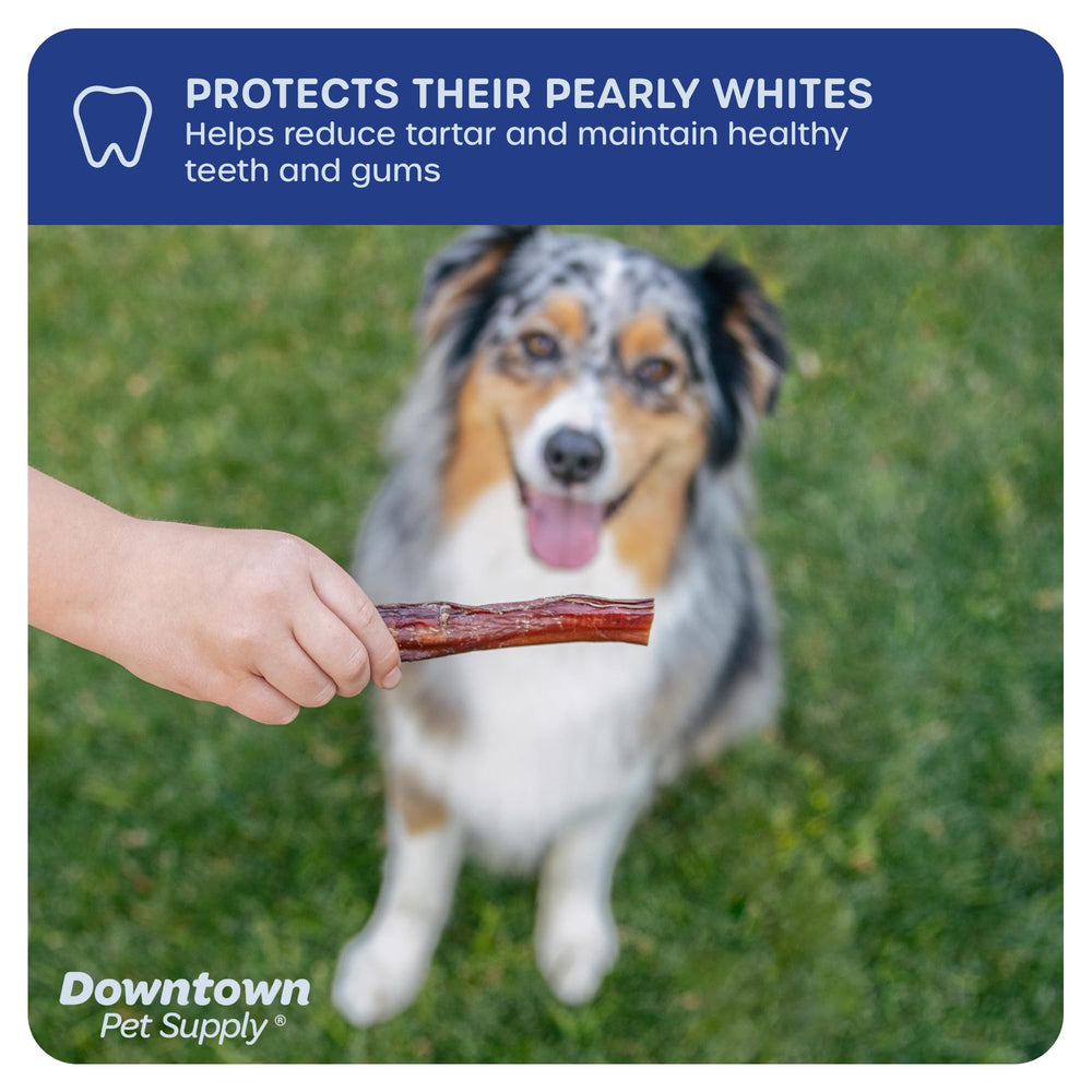 Downtown Pet Supply USA sourced chew for trusted treats