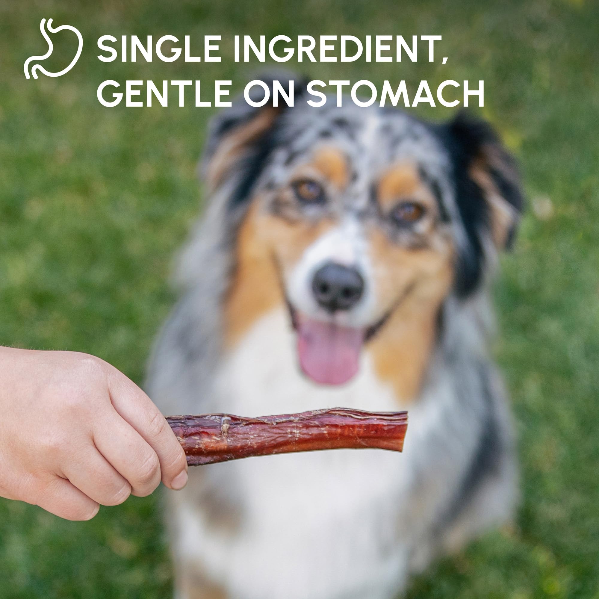 Downtown Pet Supply USA-sourced chews, high quality and safety you can trust.