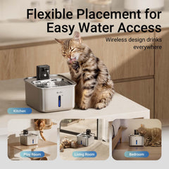 DownyPaws 3L capacity with rechargeable battery for extended water supply