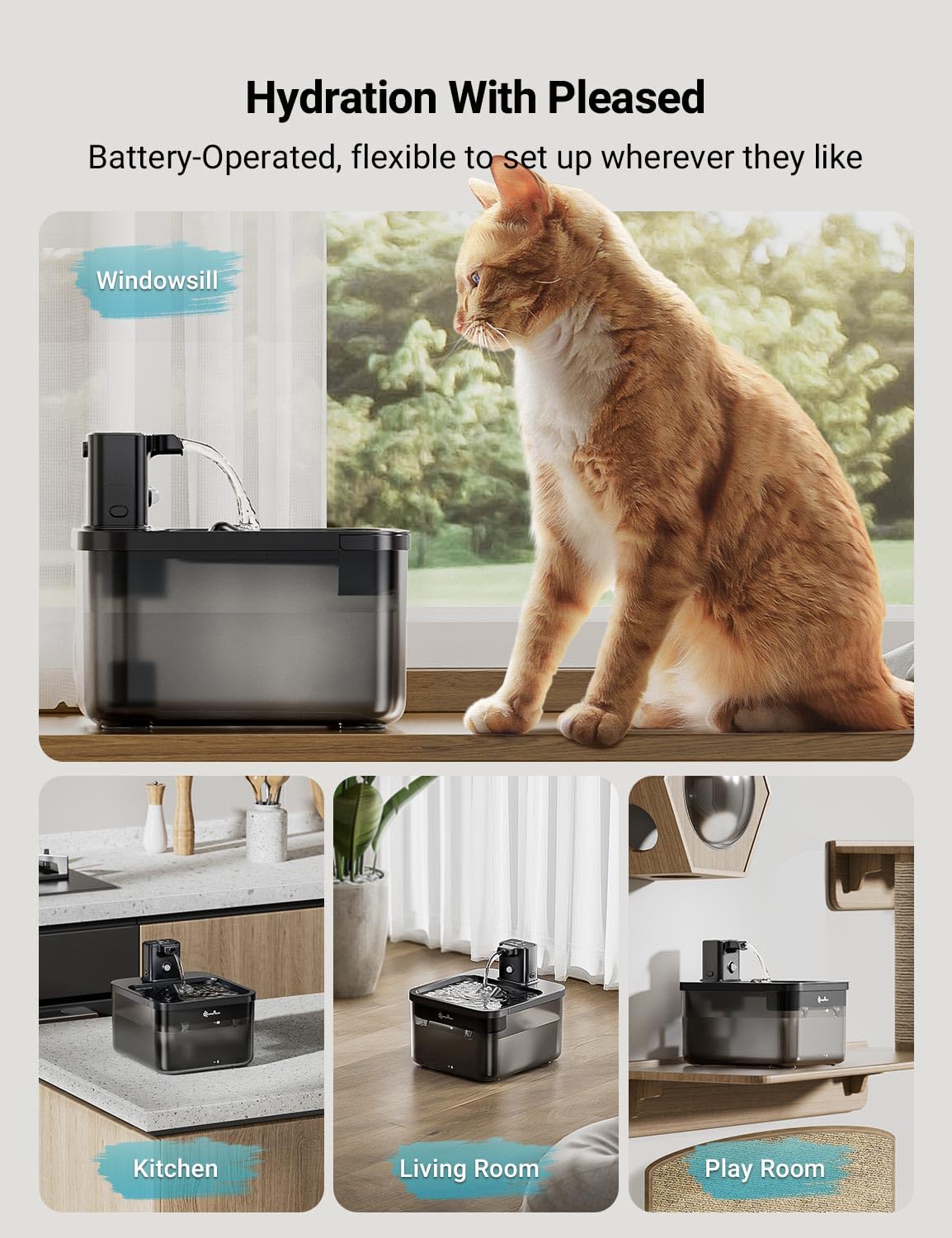 DownyPaws 84oz capacity keeps cats hydrated longer