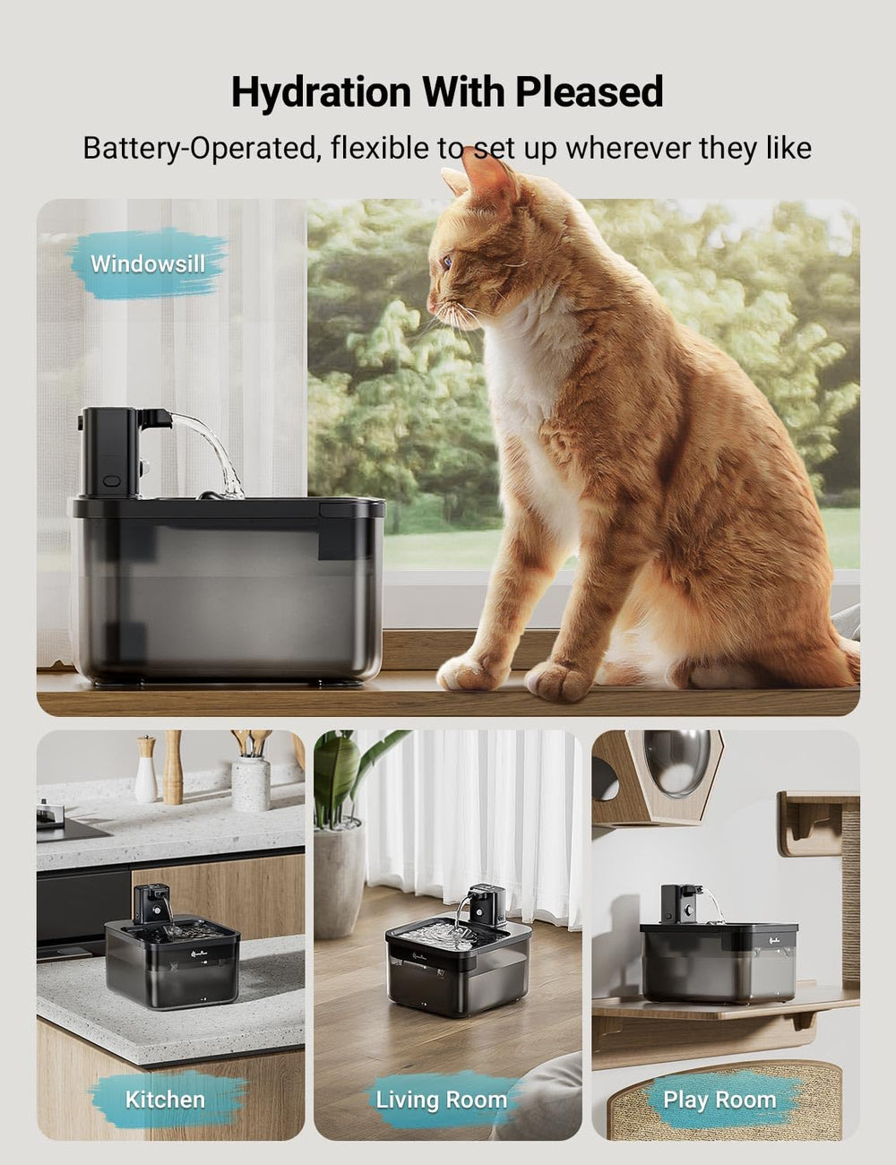 DownyPaws 84oz capacity keeps cats hydrated longer