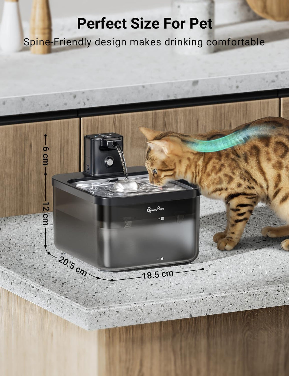 DownyPaws BPA-free design supports safe drinking for pets