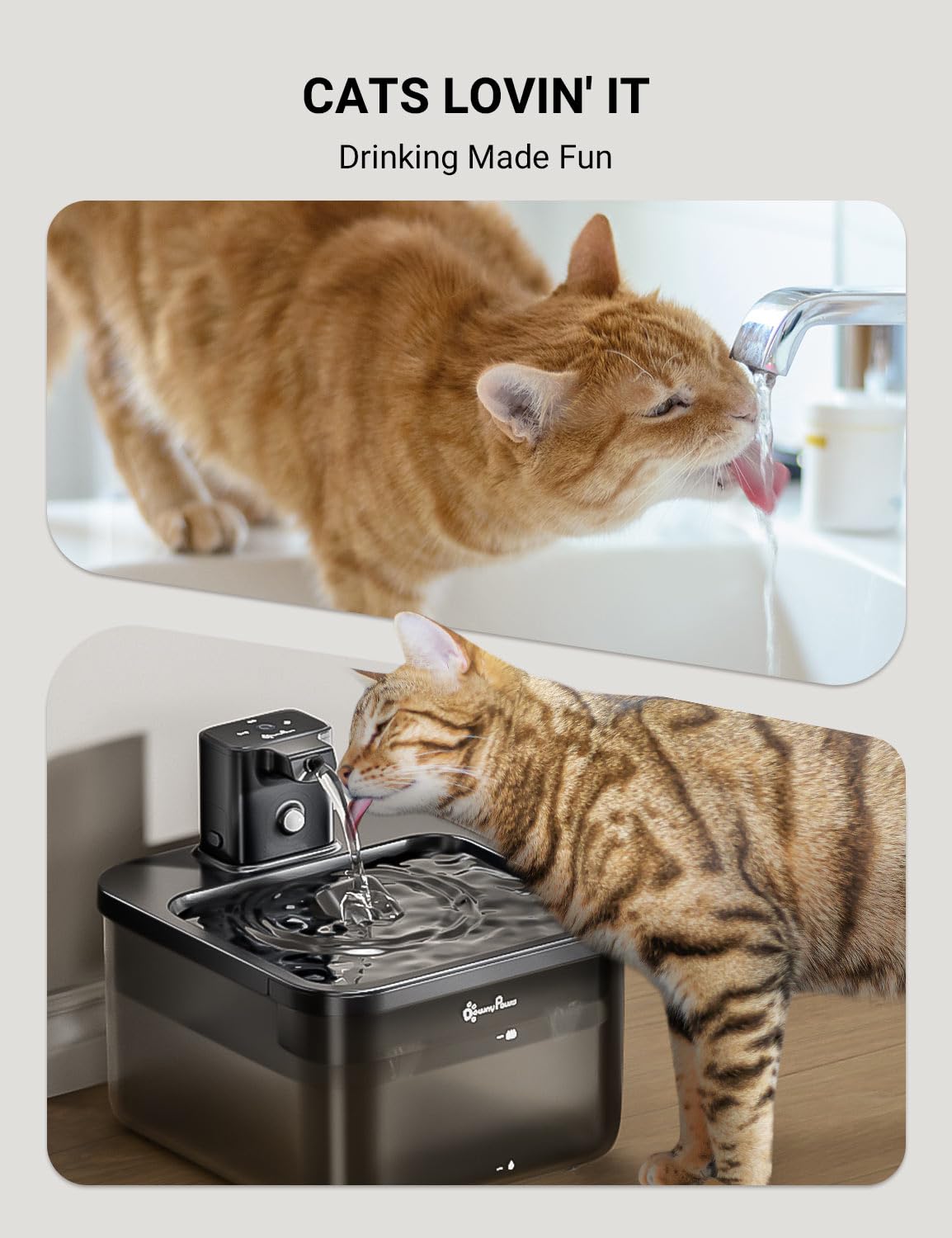 DownyPaws BPA-free materials support safe hydration