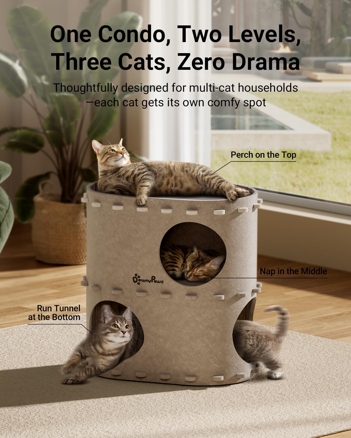 DownyPaws cat house with elevated perches for climbing and lounging