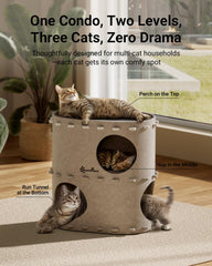 DownyPaws cat house with elevated perches for climbing and lounging