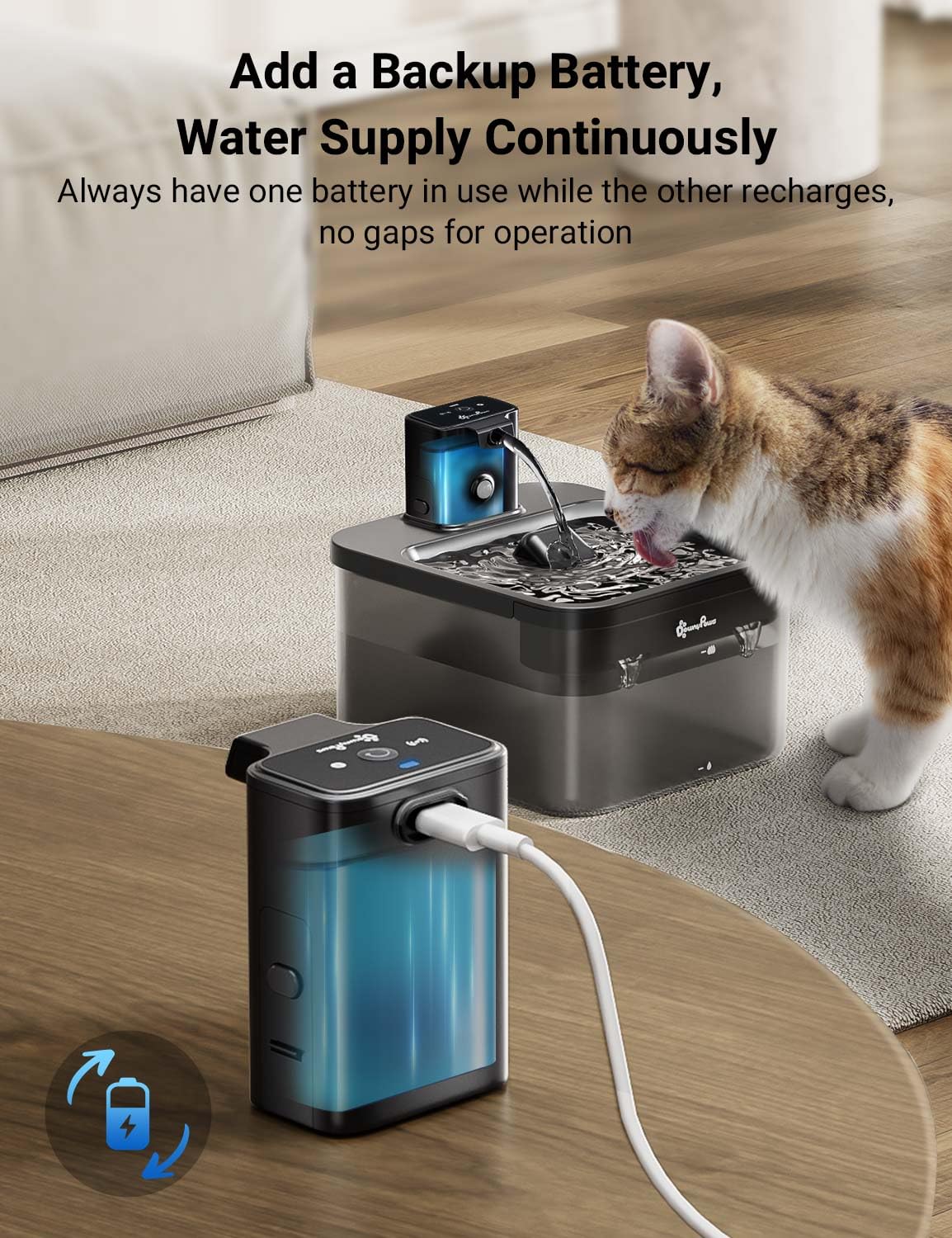DownyPaws cat water fountain dpwfp6 assembly emphasizes quick setup.