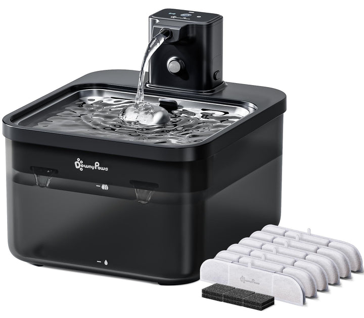 DownyPaws cordless fountain in living room view for easy hydration