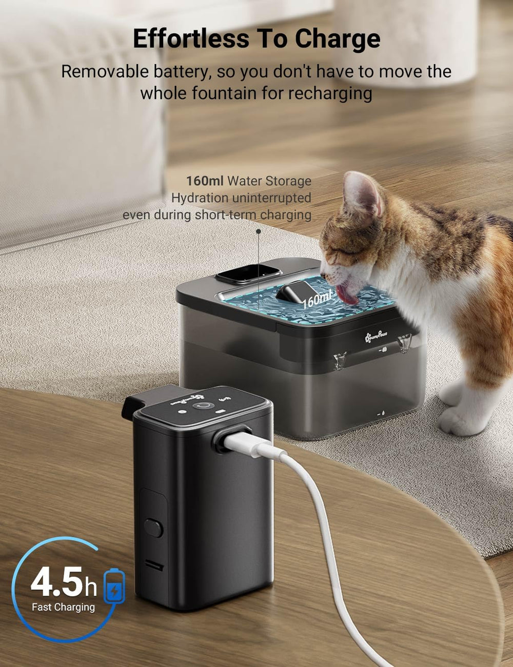 DownyPaws detachable battery pack enables on-the-go charging