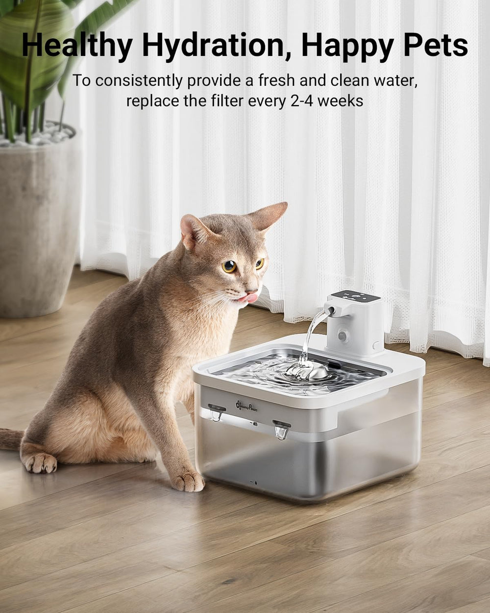 DownyPaws DPWFP6 replacement kit supports ongoing pet hydration