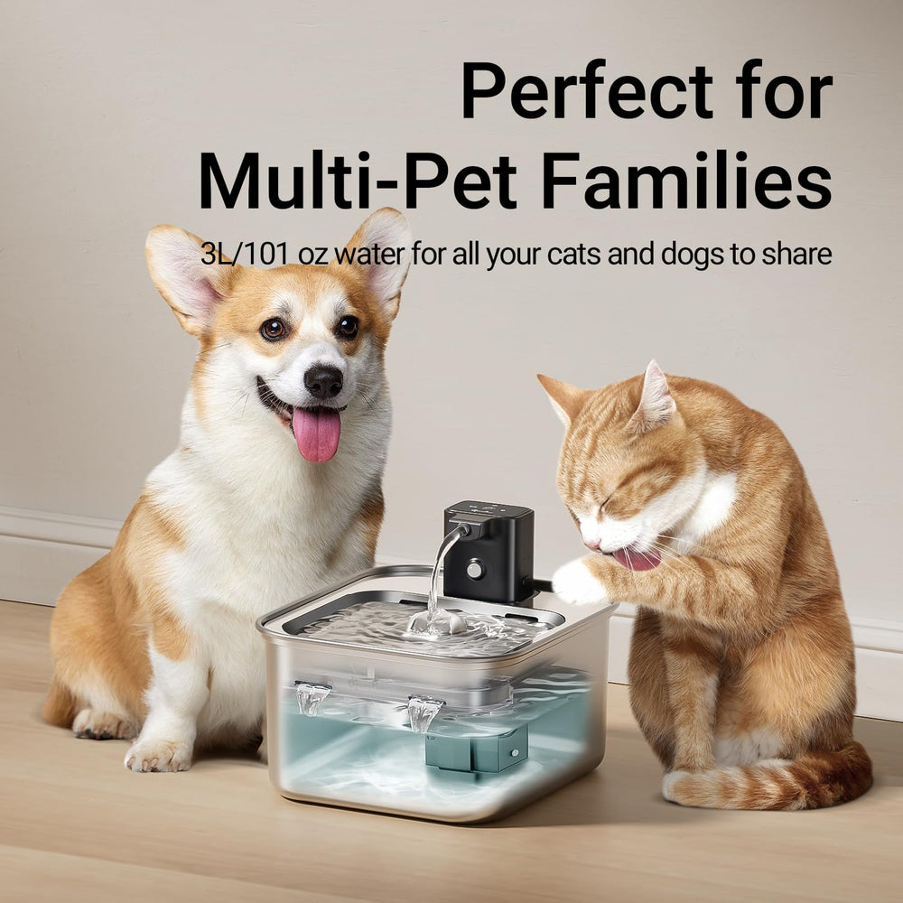 DownyPaws FurSink motion sensor cue shows automatic hydration prompts.