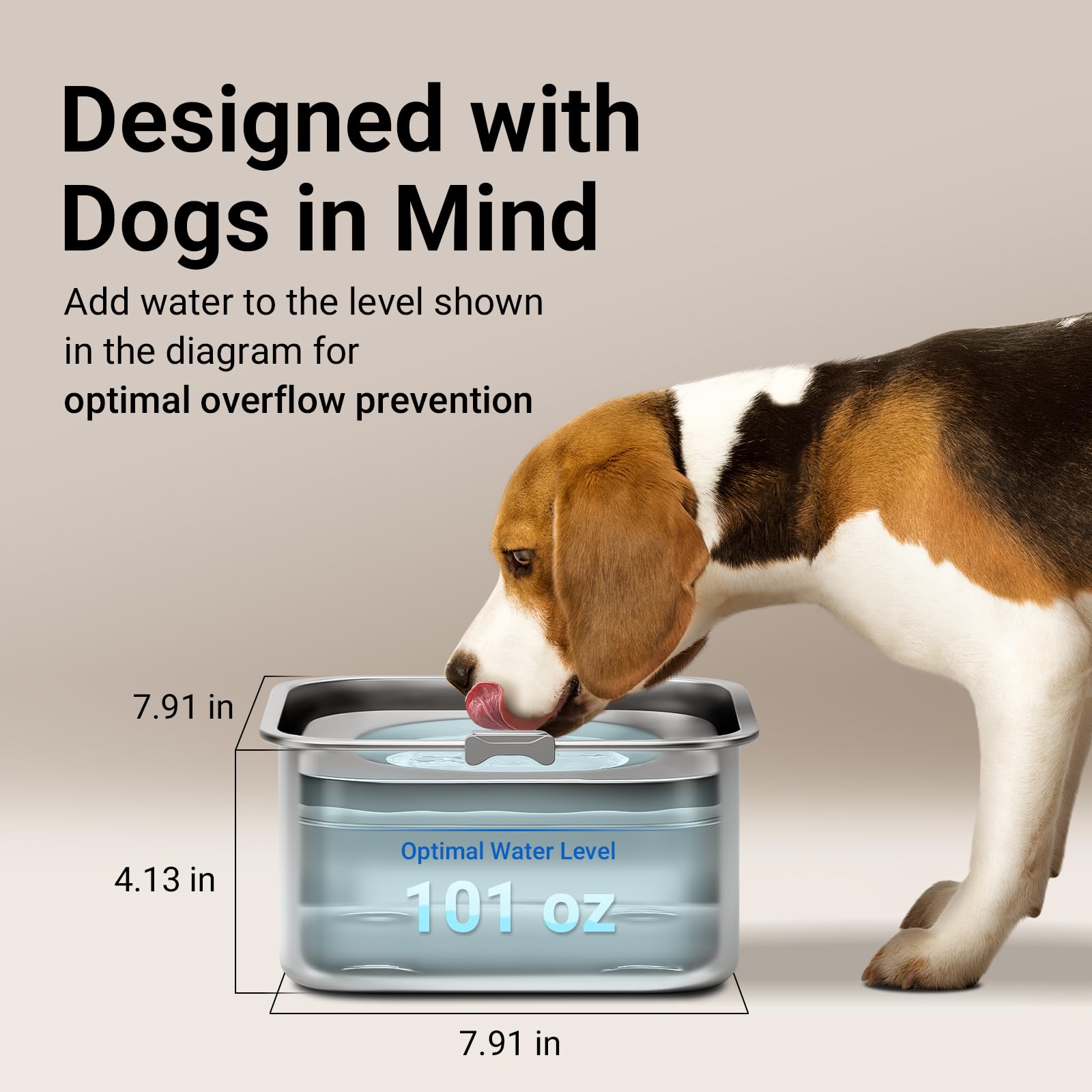 DownyPaws slow-flow design shows steady water delivery for calmer drinking.