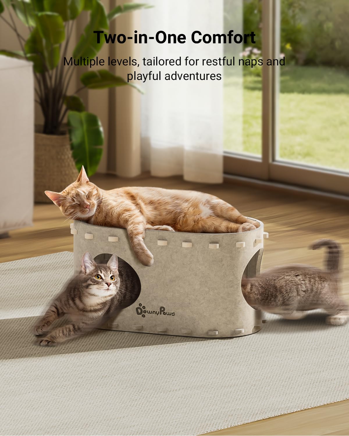 DownyPaws PeekaPurr interior space designed for cozy lounging and safe play.