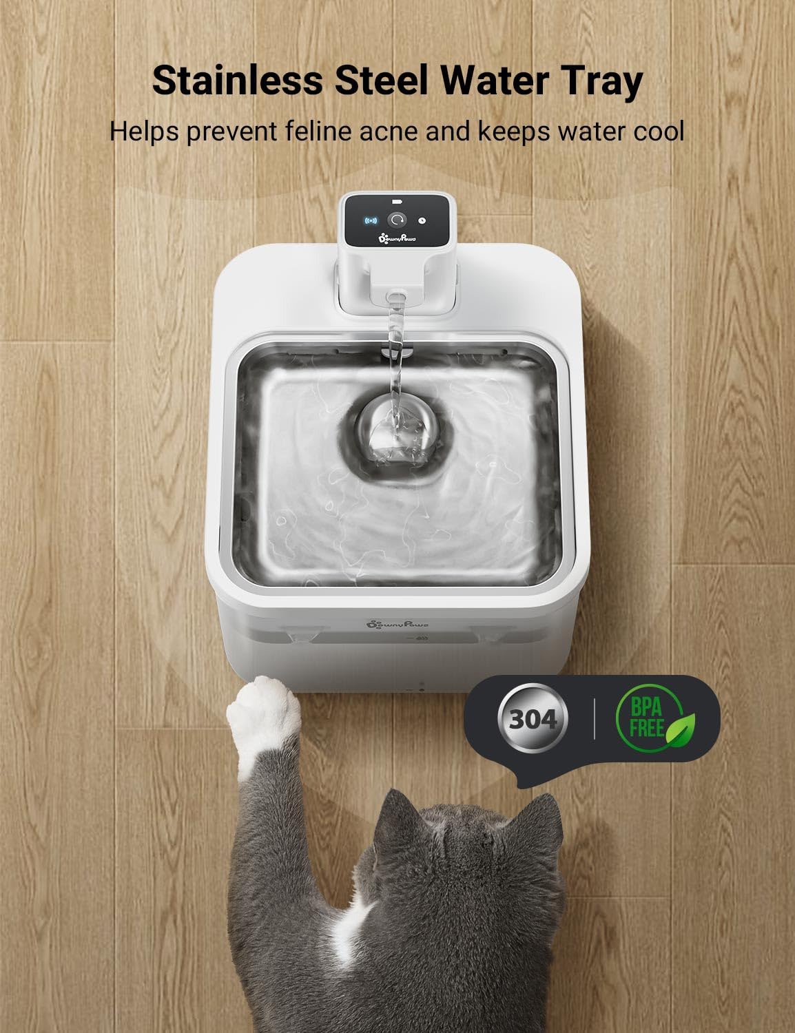 DownyPaws five-level filtration highlights continuous fresh water with improved taste.