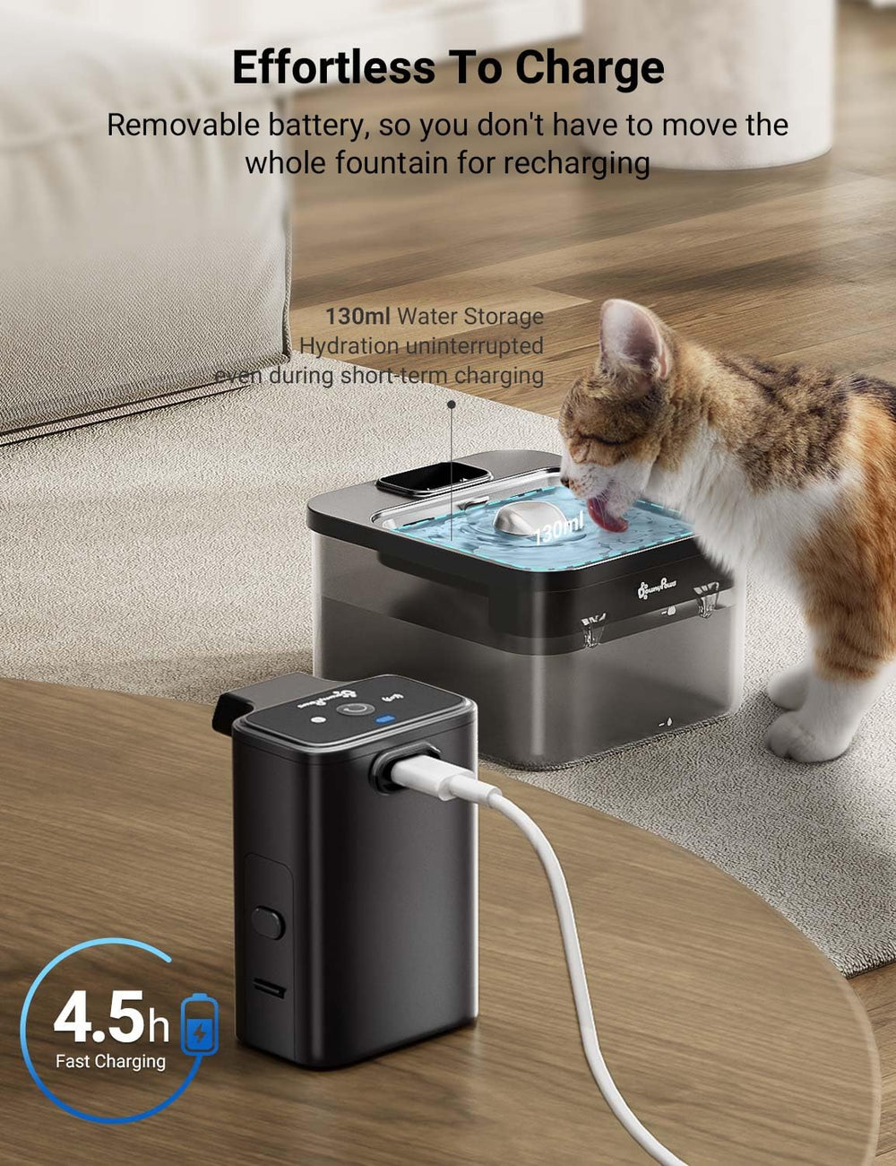 DownyPaws BPA-free construction close-up highlighting safe materials.