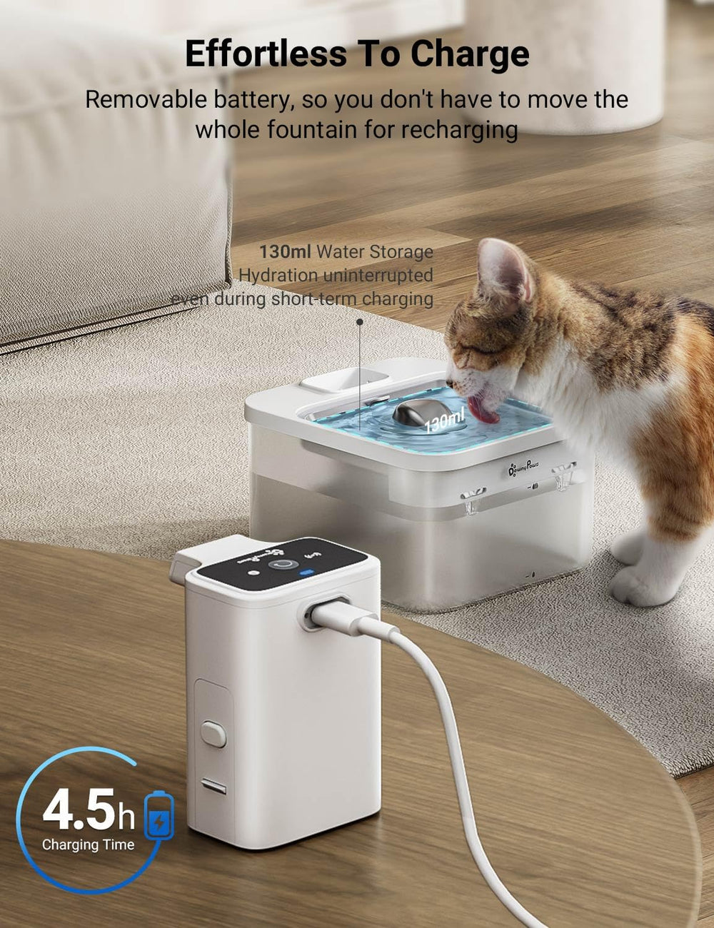 DownyPaws cats enjoying filtered water at a convenient drinking spot.