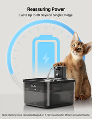 DownyPaws quiet pump demonstrates whisper-quiet operation in home.