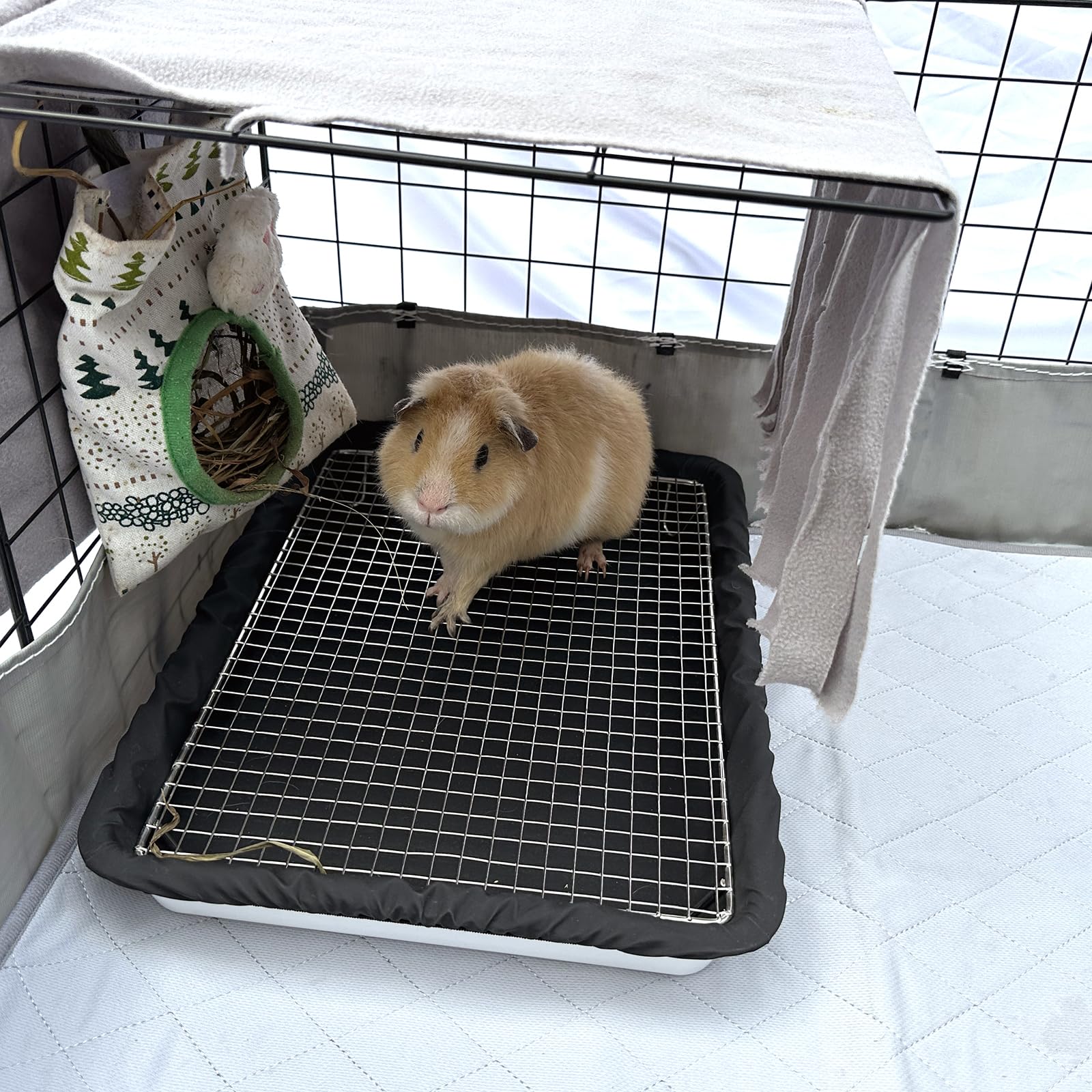 DOZZOPET easy-clean litter box in use demonstrates quick maintenance.