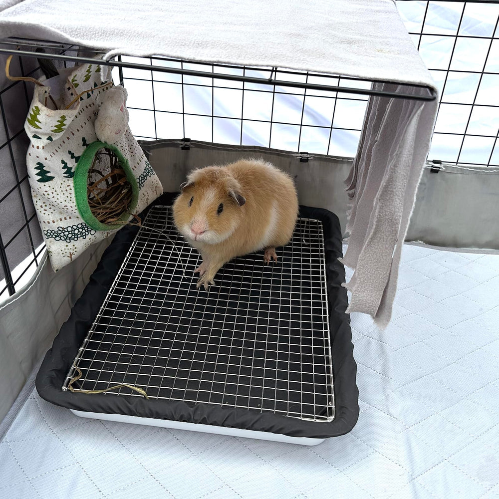 DOZZOPET easy-clean litter box in use demonstrates quick maintenance.