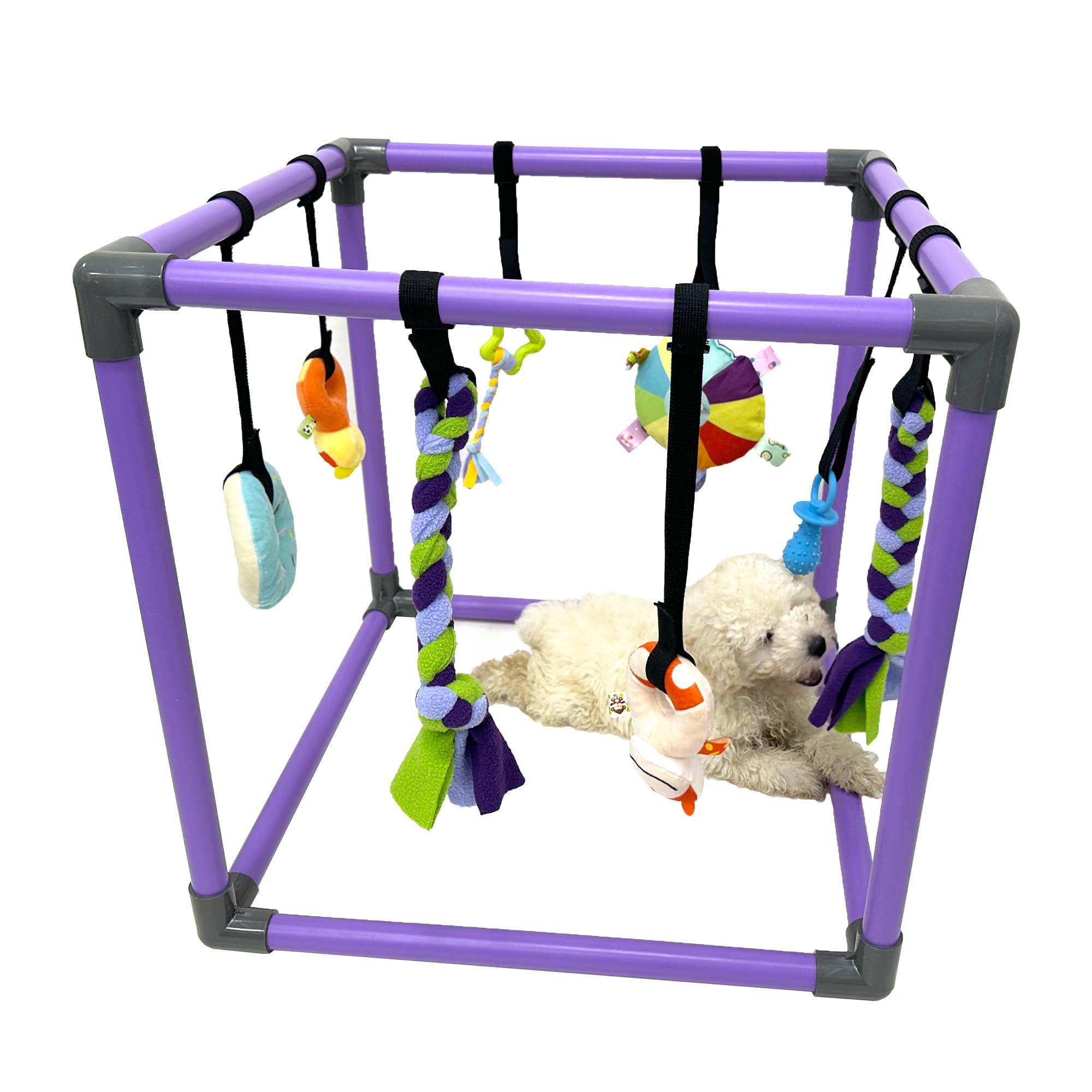 DOZZOPET Puppy Play Gym with 8 hanging toys for small dogs boosts enrichment and play.