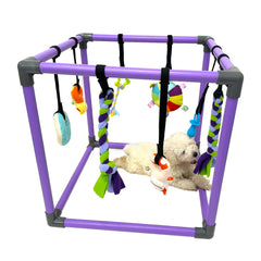 DOZZOPET Puppy Play Gym with 8 hanging toys for small dogs boosts enrichment and play.
