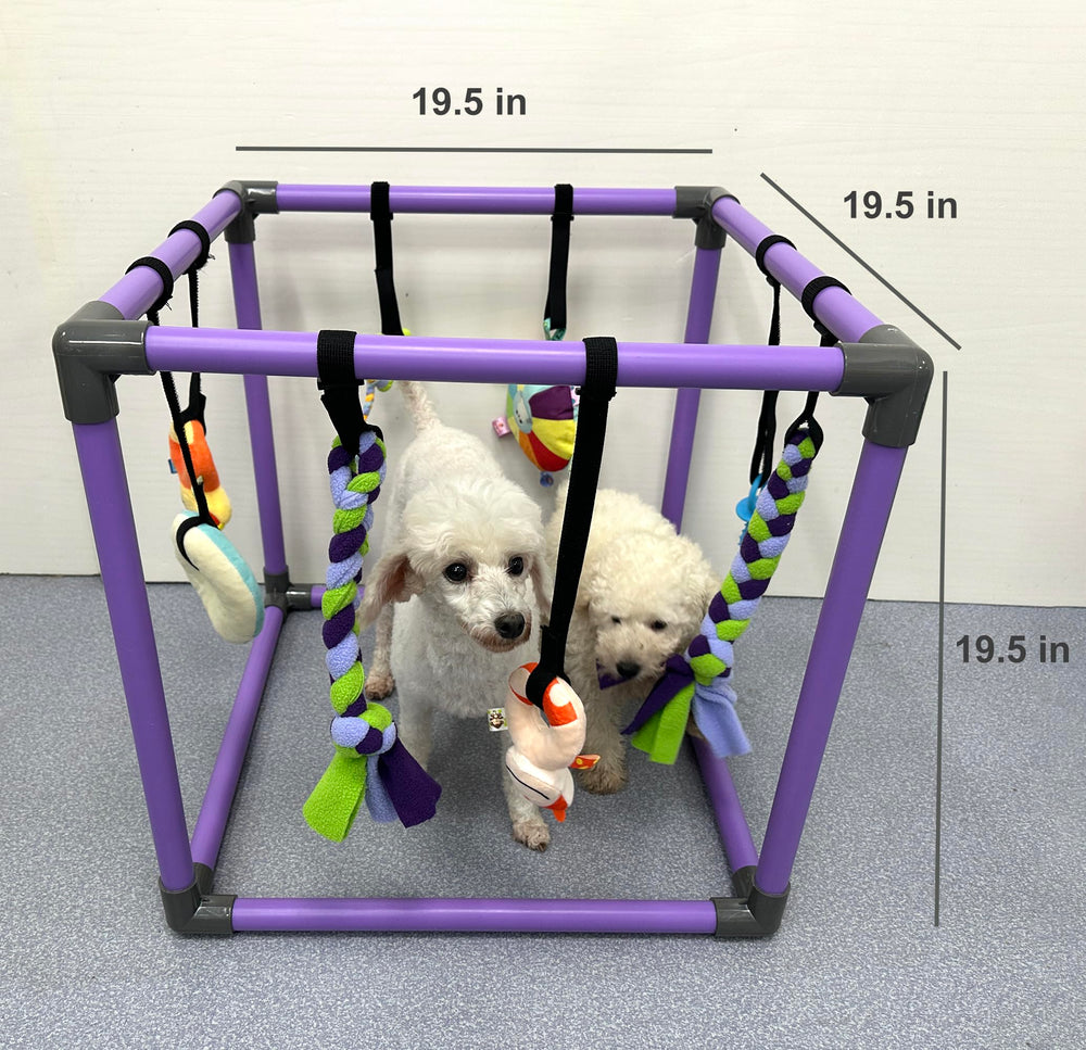 Easy no-tool assembly to set up the jungle gym in minutes.