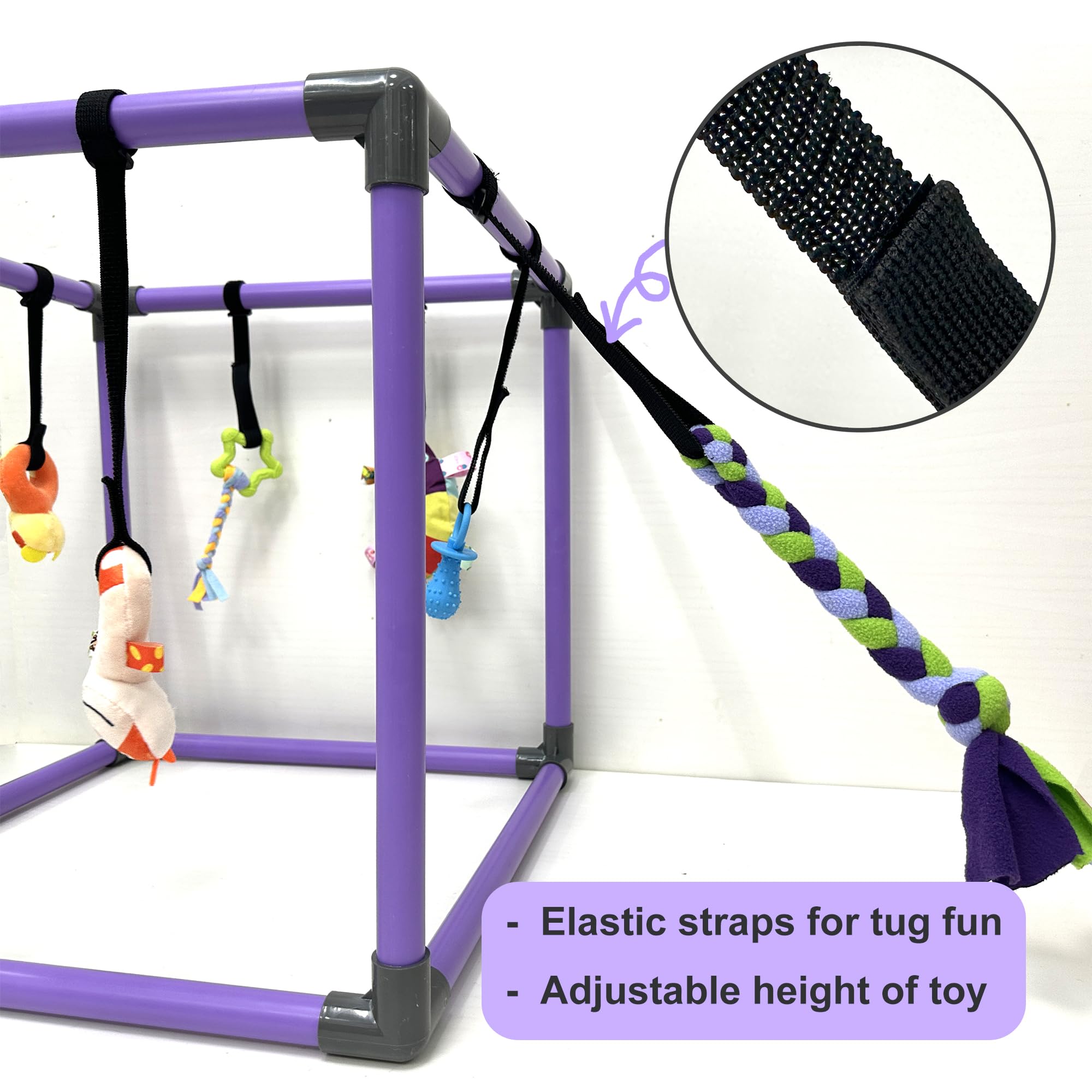 Elastic strap adjustment lets you set toy height for growing puppies and independent play.