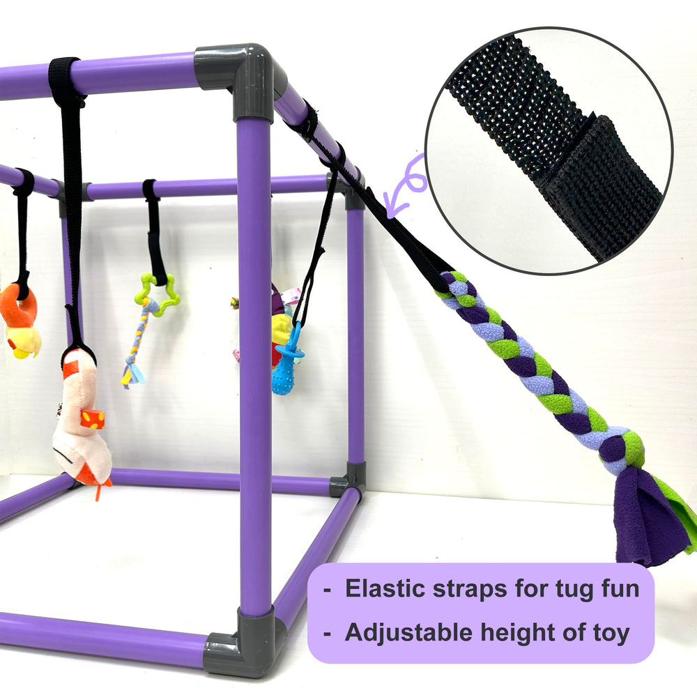Elastic strap adjustment lets you set toy height for growing puppies and independent play.