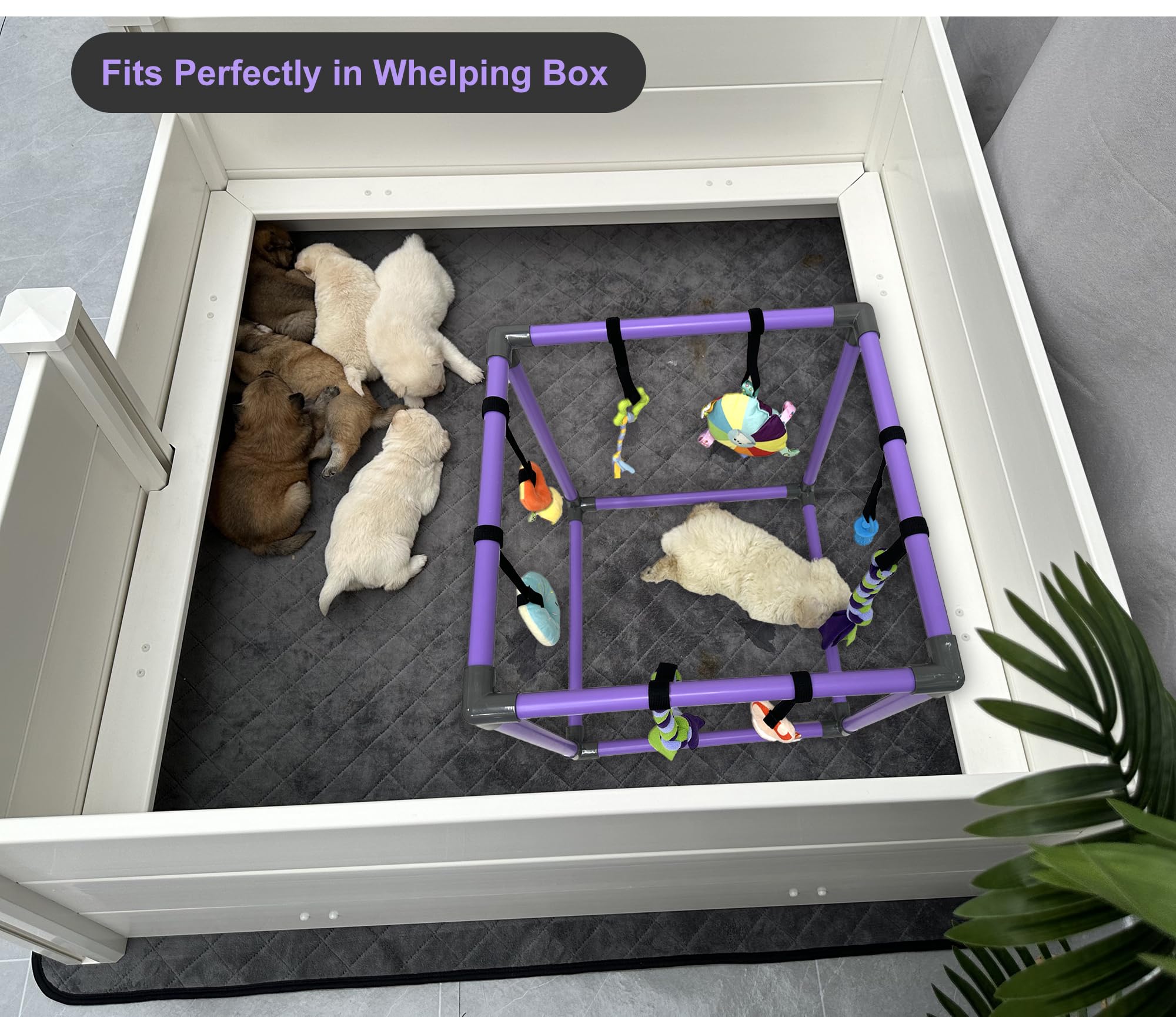 Compact indoor playground that fits DOZZOPET whelping box for convenient setups.