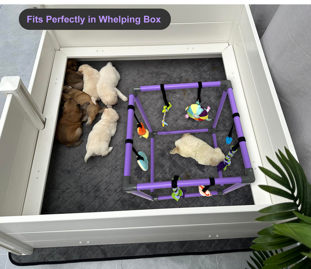 Compact indoor playground that fits DOZZOPET whelping box for convenient setups.