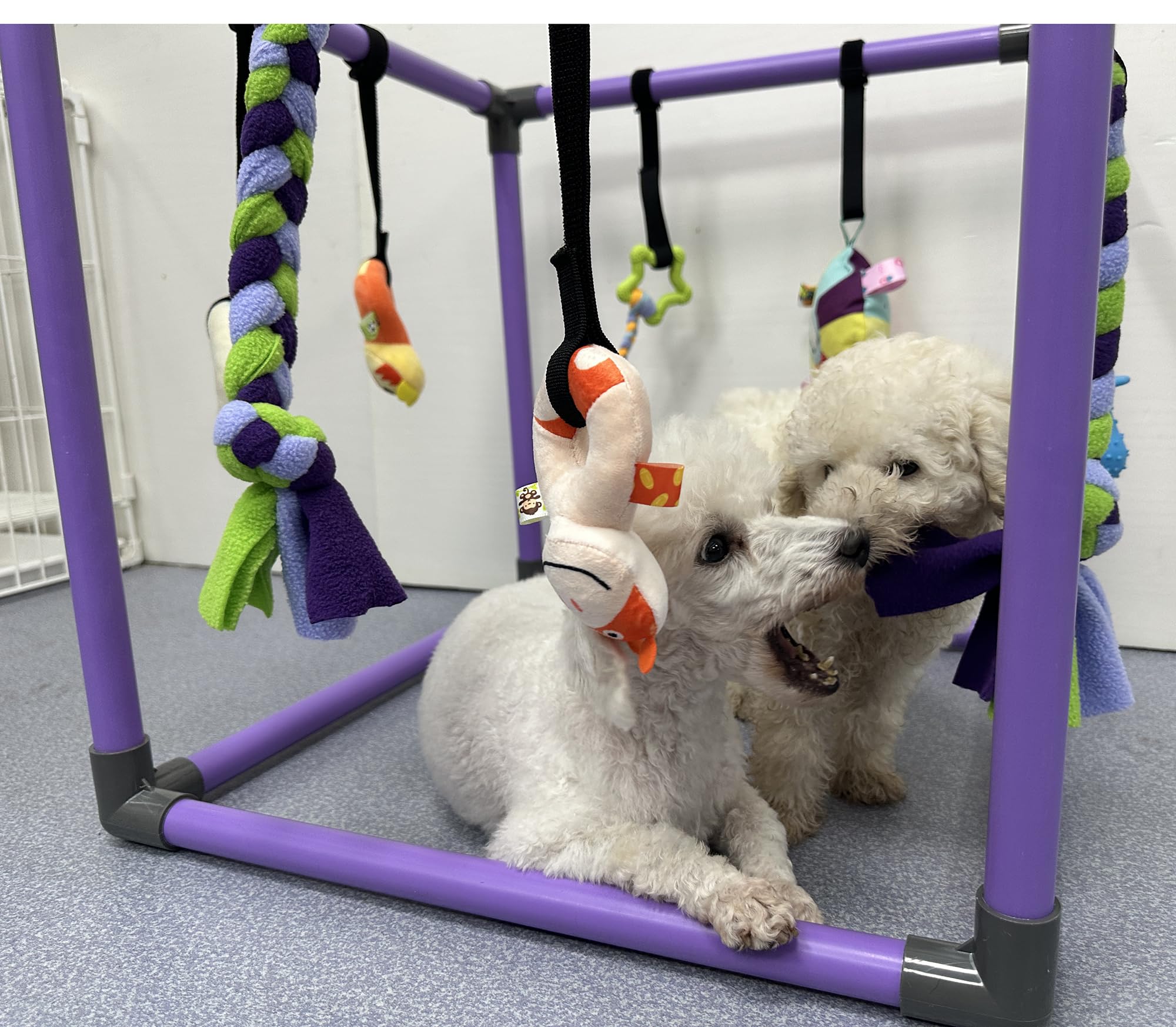 Mental and sensory development through varied textures, sounds, and movements.