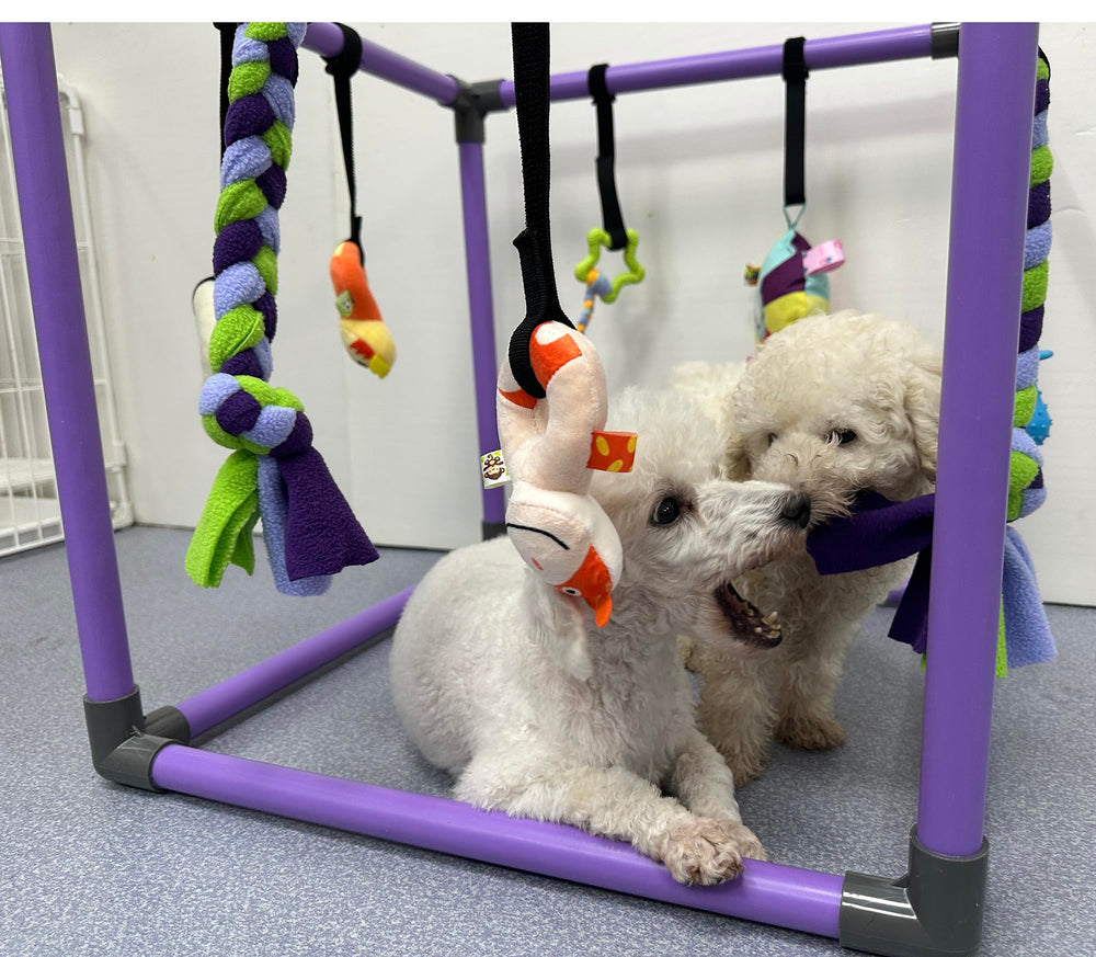 Mental and sensory development through varied textures, sounds, and movements.