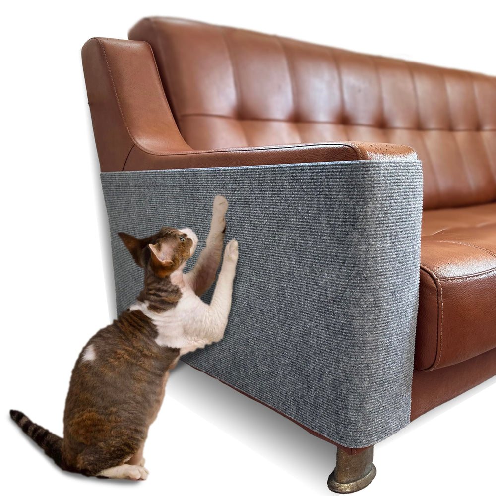 DOZZOPET self-adhesive scratch mat protects couches from claws and wear.