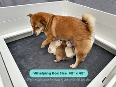 DOZZOPET whelping box with pig rails detail protecting tiny puppies