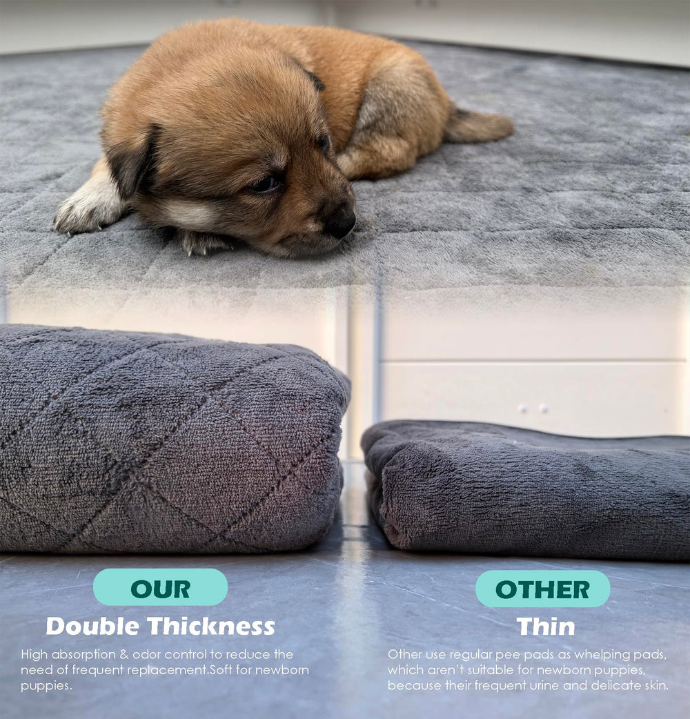 DOZZOPET whelping box ultra-absorbent mat absorbs moisture