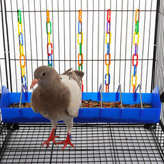 DQITJ feeder easy to remove, fill, and clean