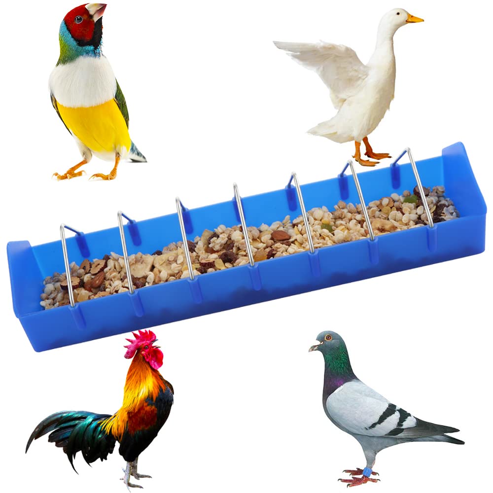 DQITJ pigeon feeder side view highlights spill-reducing design and division grill