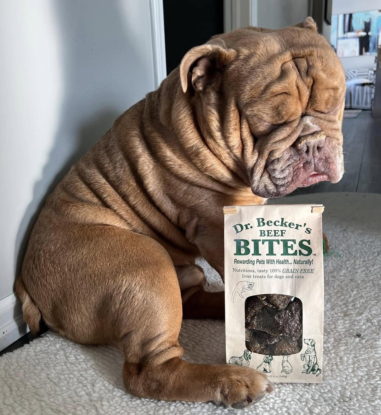 Dr. Becker's Beef Bites dogs cats treat highlights simple, appetizing protein bites.