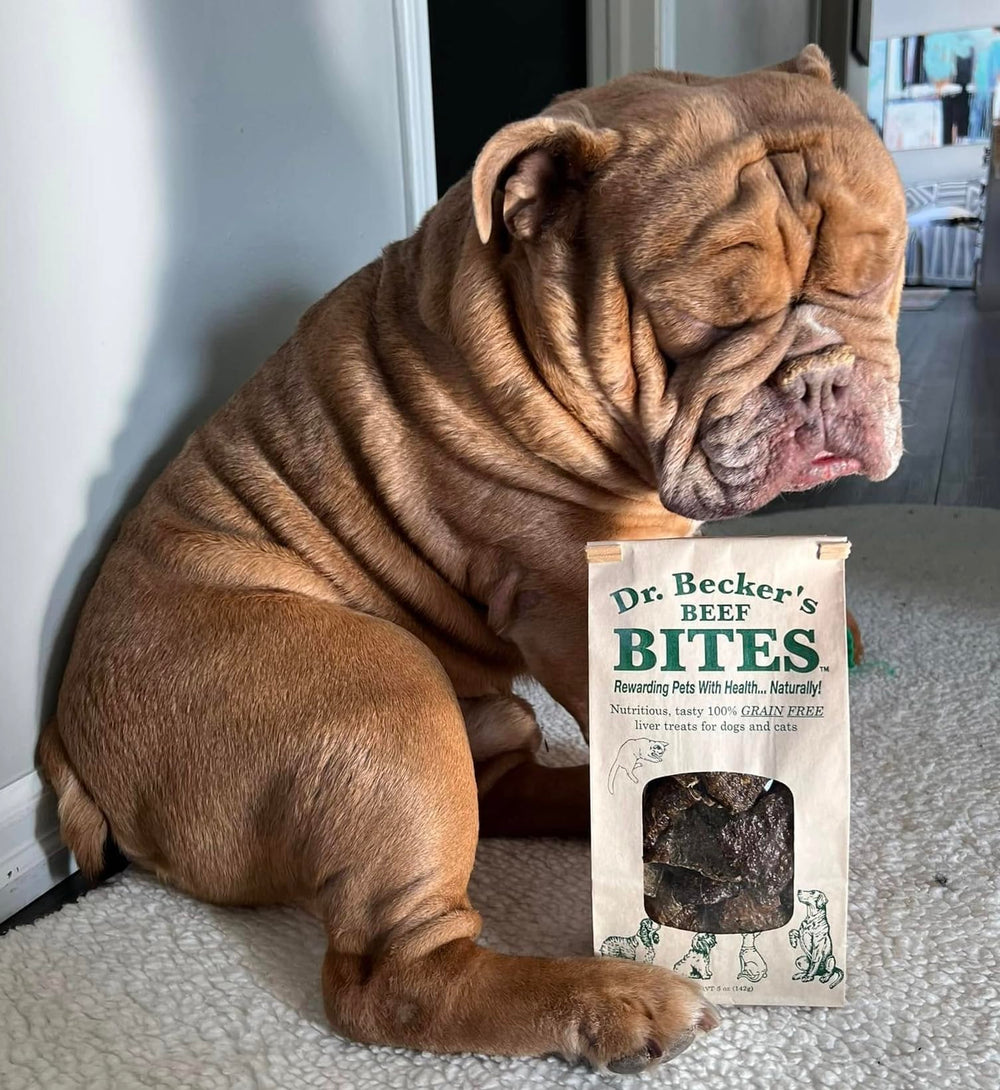 Dr. Becker's Beef Bites dogs cats treat highlights simple, appetizing protein bites.