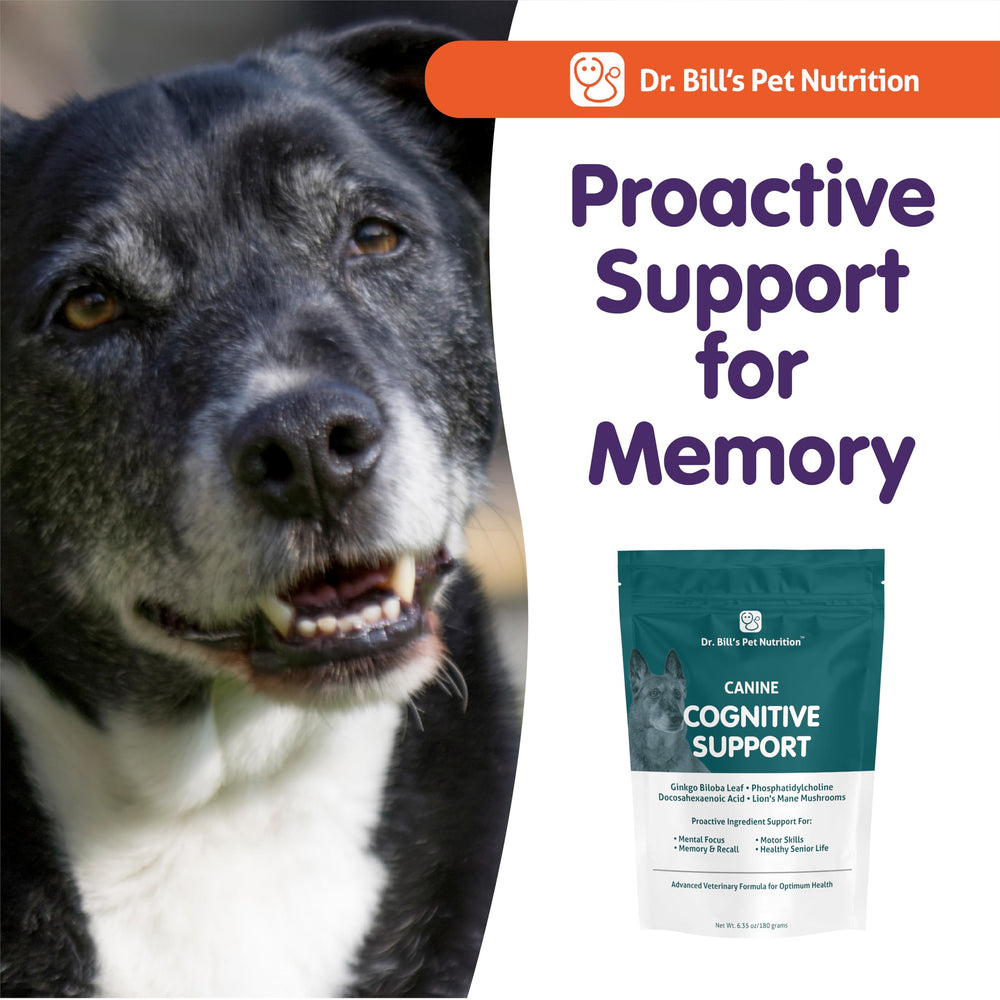 DHA-rich components highlighted on Dr. Bill's Canine Cognitive Support label