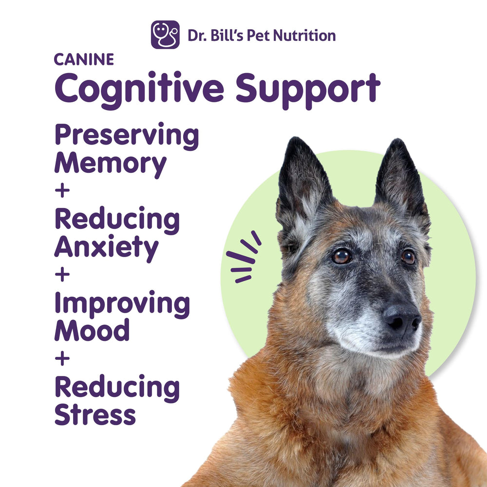 Lion's Mane imagery on Dr. Bill's supplement suggesting cognitive support for dogs