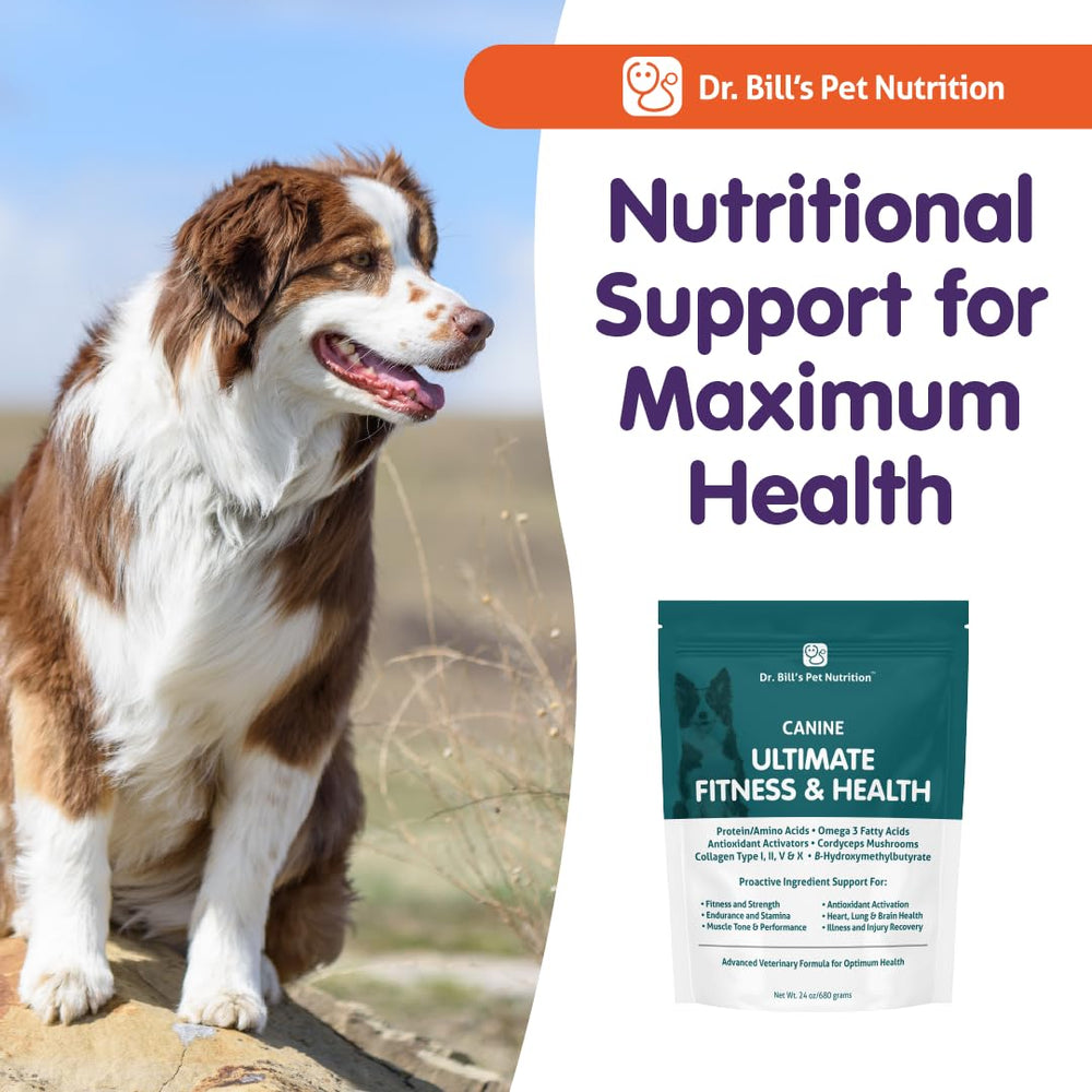 Dr. Bill's Canine Ultimate Fitness 680g jar provides long-term nutrition for dogs.