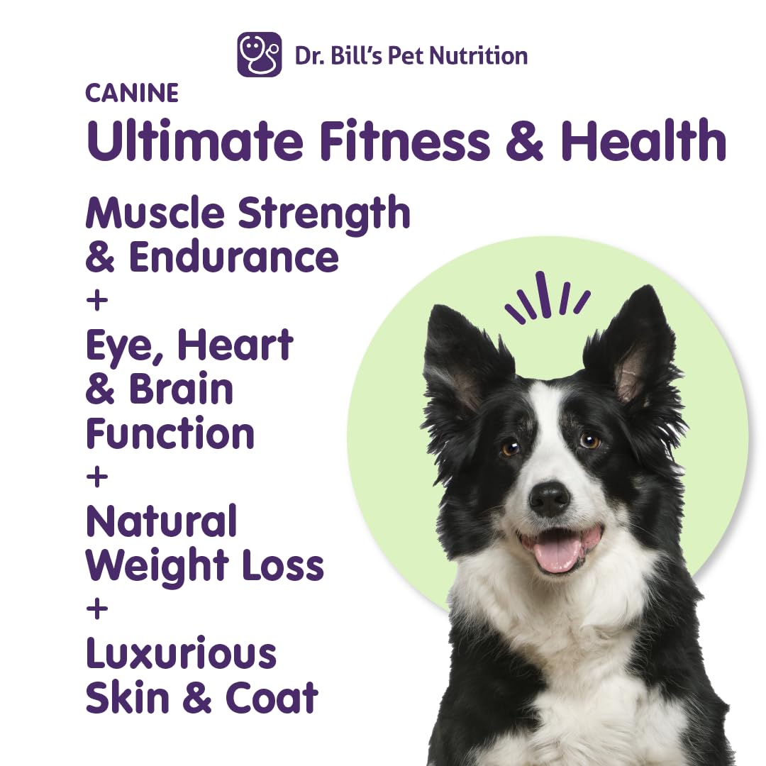 Dr. Bill's Canine Ultimate Fitness boosts dog endurance for active adventures.